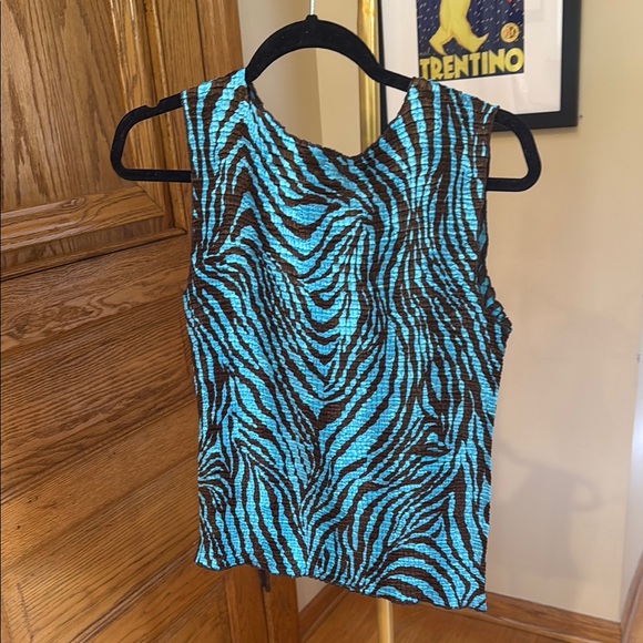 Blue and Brown Sleeveless Top Vintage - Picture 4 of 4